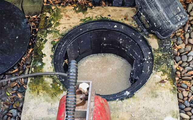 https://blockeddrainsosbornepark.com.au/uploads/2025/07/blocked-drains-820453.jpg