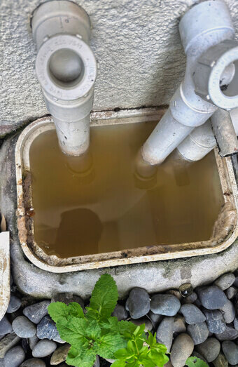 https://blockeddrainsosbornepark.com.au/uploads/2025/07/blocked-drains-82500.jpg
