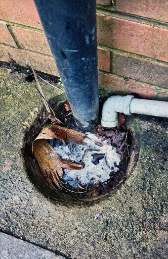 https://blockeddrainsosbornepark.com.au/uploads/2025/07/blocked-drains-90695.jpg