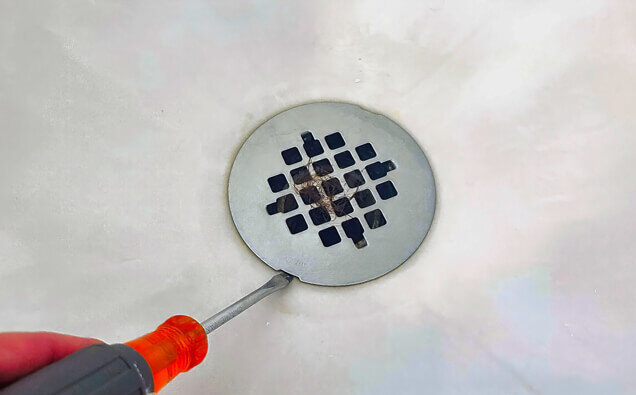 https://blockeddrainsosbornepark.com.au/uploads/2025/07/blocked-shower-drains-12668.jpg