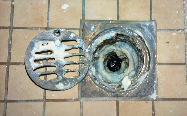 https://blockeddrainsosbornepark.com.au/uploads/2025/07/blocked-shower-drains-33151.jpg