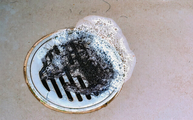 https://blockeddrainsosbornepark.com.au/uploads/2025/07/blocked-shower-drains-76585.jpg
