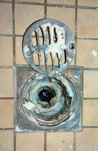 https://blockeddrainsosbornepark.com.au/uploads/2025/07/blocked-shower-drains-86331.jpg