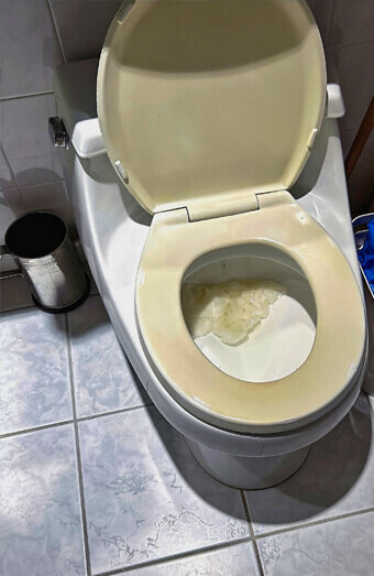 https://blockeddrainsosbornepark.com.au/uploads/2025/07/blocked-toilet-27293.jpg