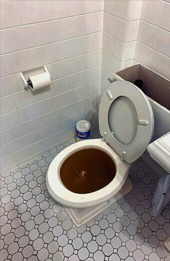 https://blockeddrainsosbornepark.com.au/uploads/2025/07/blocked-toilet-99184.jpg