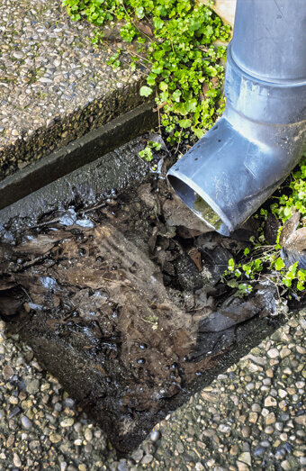 https://blockeddrainsosbornepark.com.au/uploads/2025/07/hero-blocked-sewers-20143.jpg