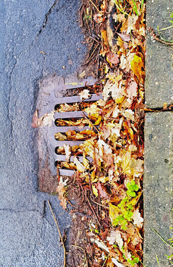 https://blockeddrainsosbornepark.com.au/uploads/2025/07/stormwater-drains-48051.jpg